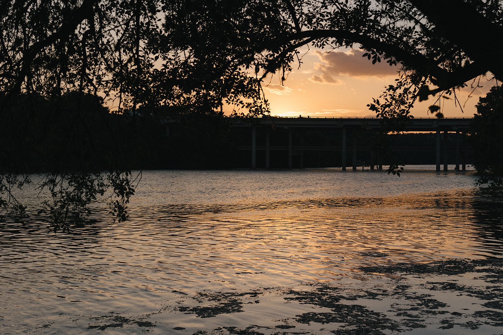 The Belvedere Residences - Sunset Views